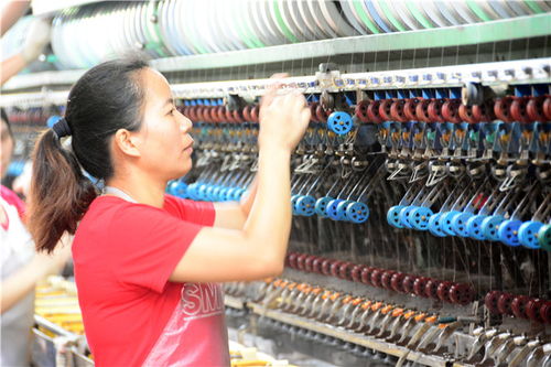 南海西樵本地孩子走進老工廠學習傳統文化產業歷史,做名繅絲工人