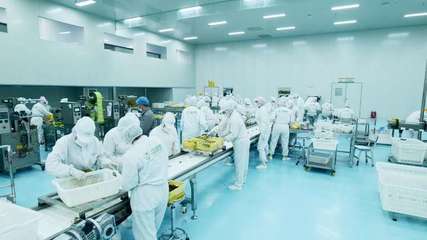 疆果果 深耕新疆堅果，以創新研發打造品質與文化融合的產業標桿